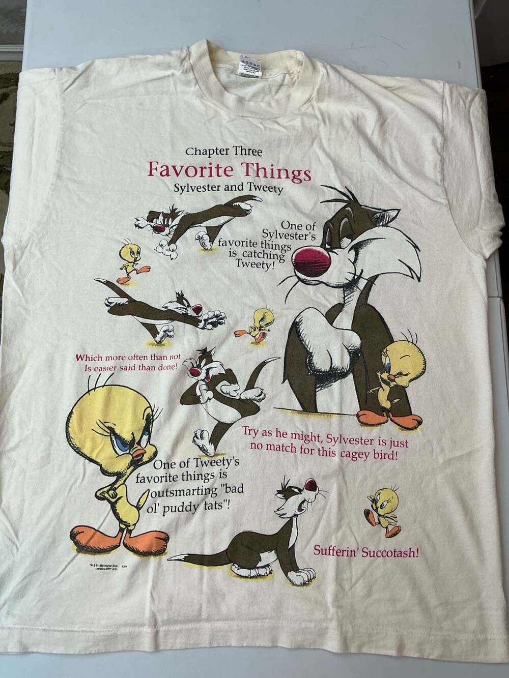 Vintage 1995 Looney Tunes Sylvester and Tweety Chapter Three Favorite Things T-S